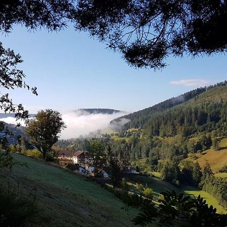Ferienwohnung Tonbachtal Баїрсбронн Екстер'єр фото
