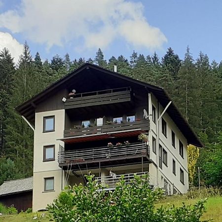 Ferienwohnung Tonbachtal Баїрсбронн Екстер'єр фото
