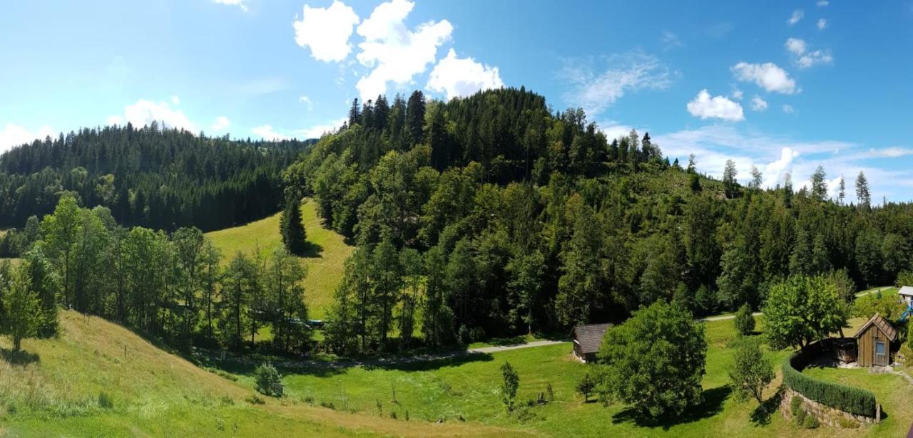 Ferienwohnung Tonbachtal Баїрсбронн Екстер'єр фото